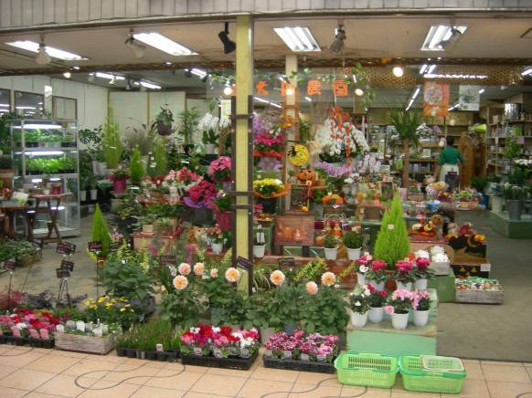 「大阪農園」　（大阪府高槻市）の花屋店舗写真1